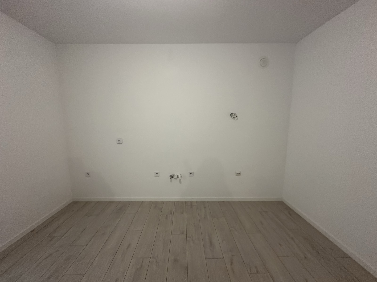 Viber image 2024 03 13 02 59 54