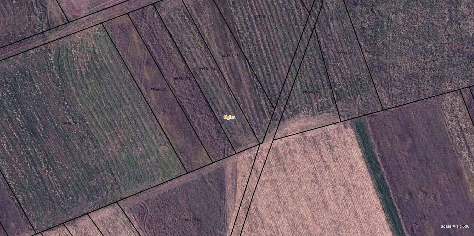 Viber image 2024 04 03 08 05 44