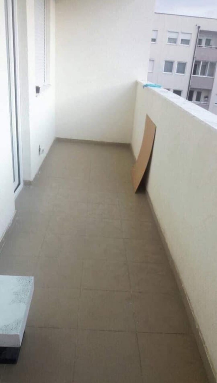 Viber image 2024 04 08 05 34 33