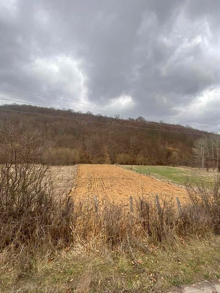 Viber image 2024 05 09 06 03 16