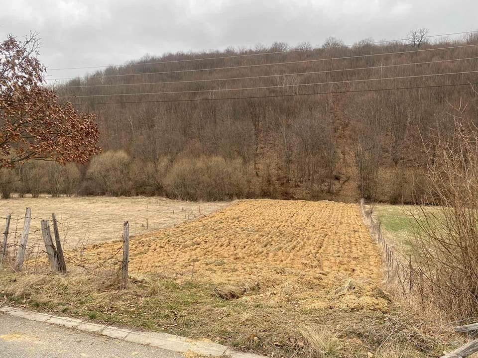 Viber image 2024 05 09 06 05 04