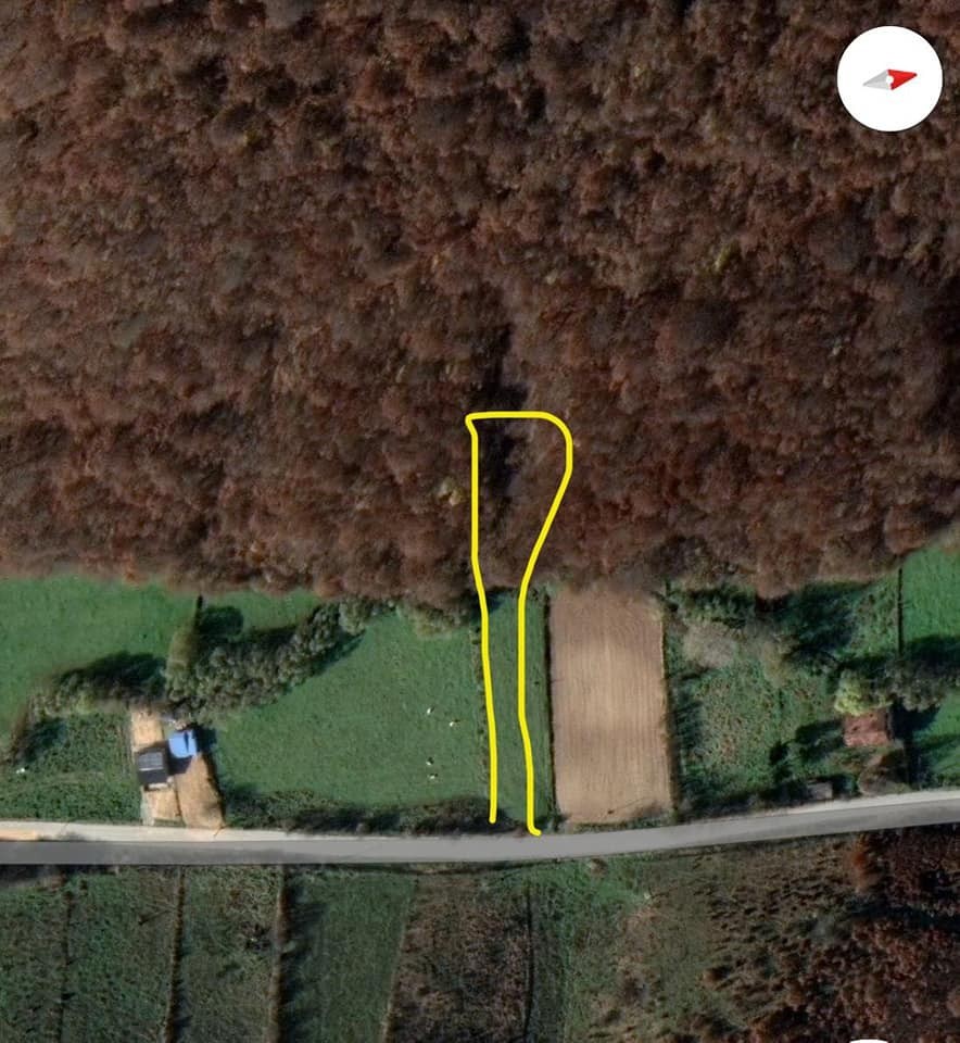 Viber image 2024 05 09 06 06 10