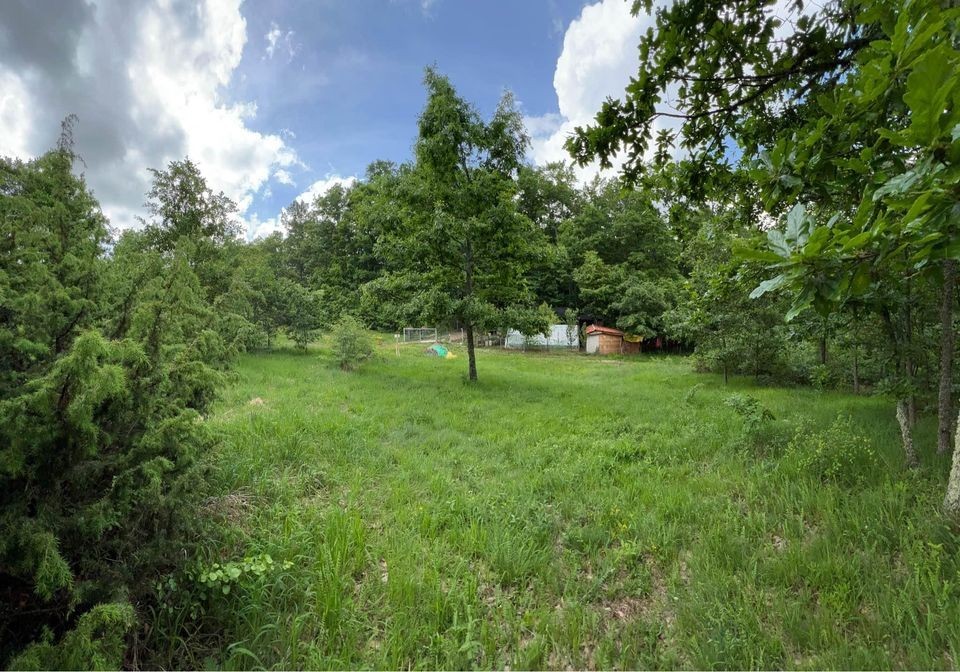 Viber image 2024 05 21 07 08 25