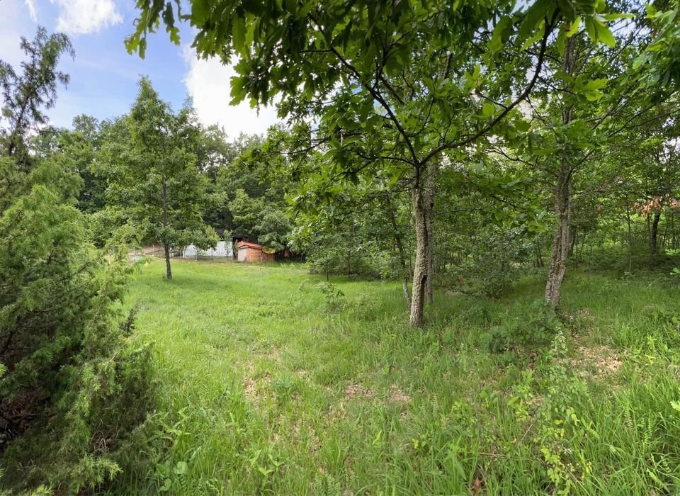 Viber image 2024 05 21 07 08 27