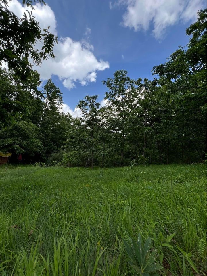 Viber image 2024 05 21 07 08 28