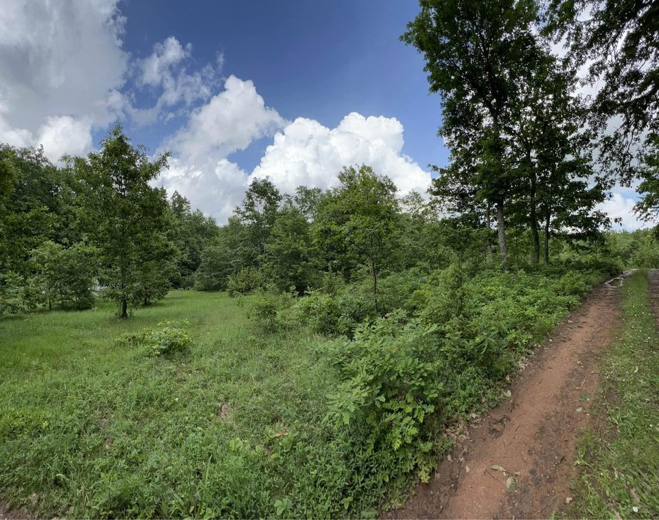 Viber image 2024 05 21 07 08 28