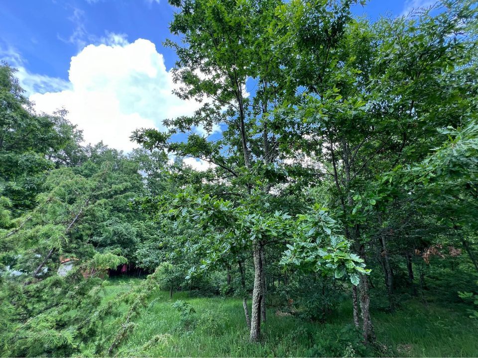 Viber image 2024 05 21 07 08 29