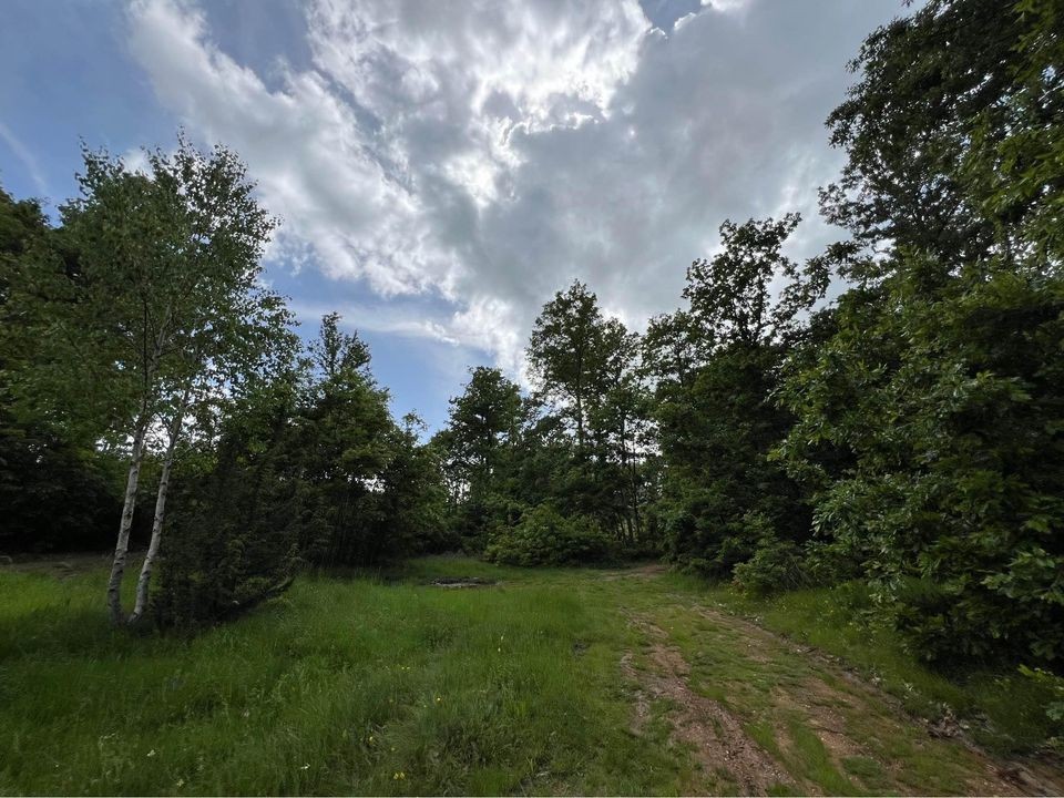 Viber image 2024 05 21 07 08 31