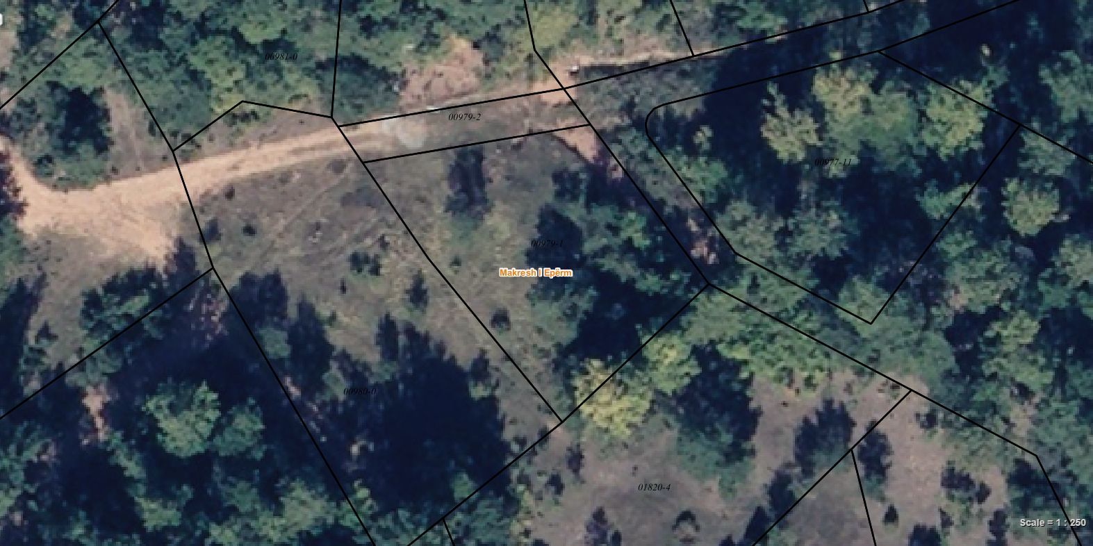 Viber image 2024 05 21 07 08 33