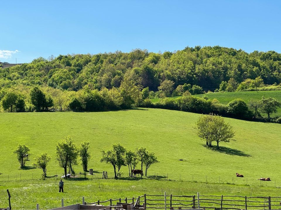 Viber image 2024 05 31 15 26 02