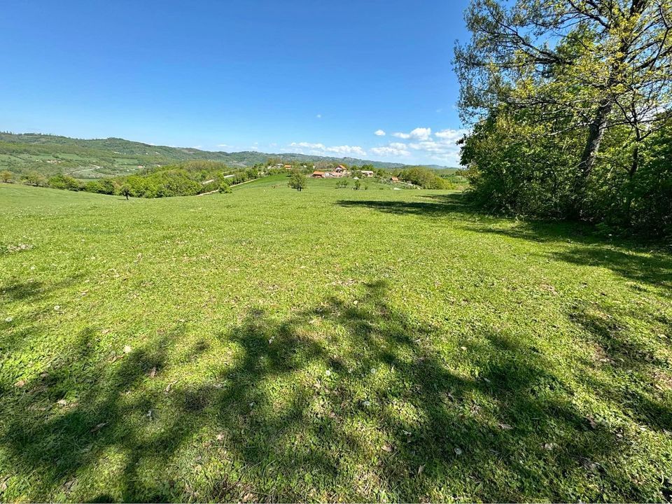 Viber image 2024 05 31 15 26 03