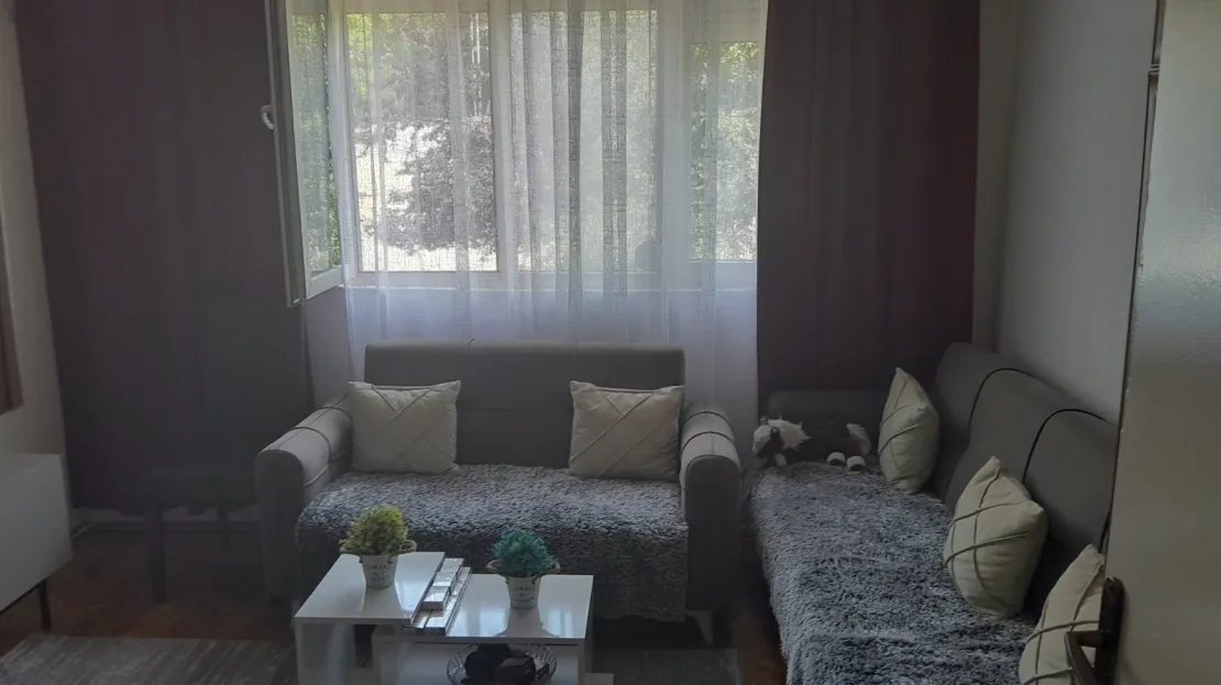 Viber image 2024 07 04 09 50 28