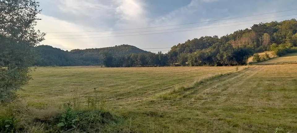 Viber image 2024 07 23 10 11 42