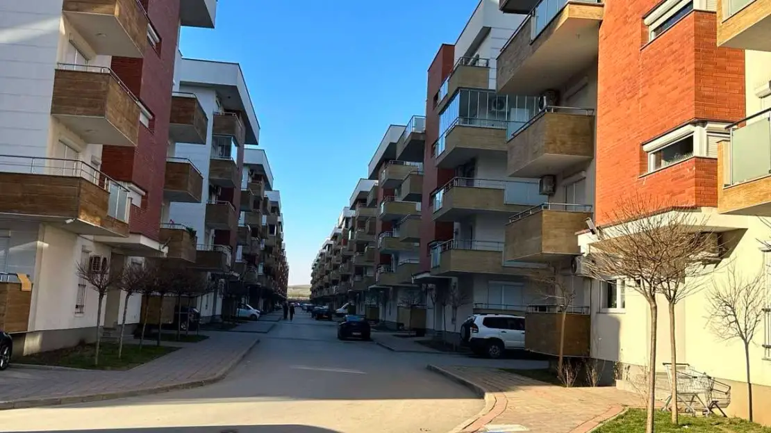 Viber image 2024 08 13 13 21 37