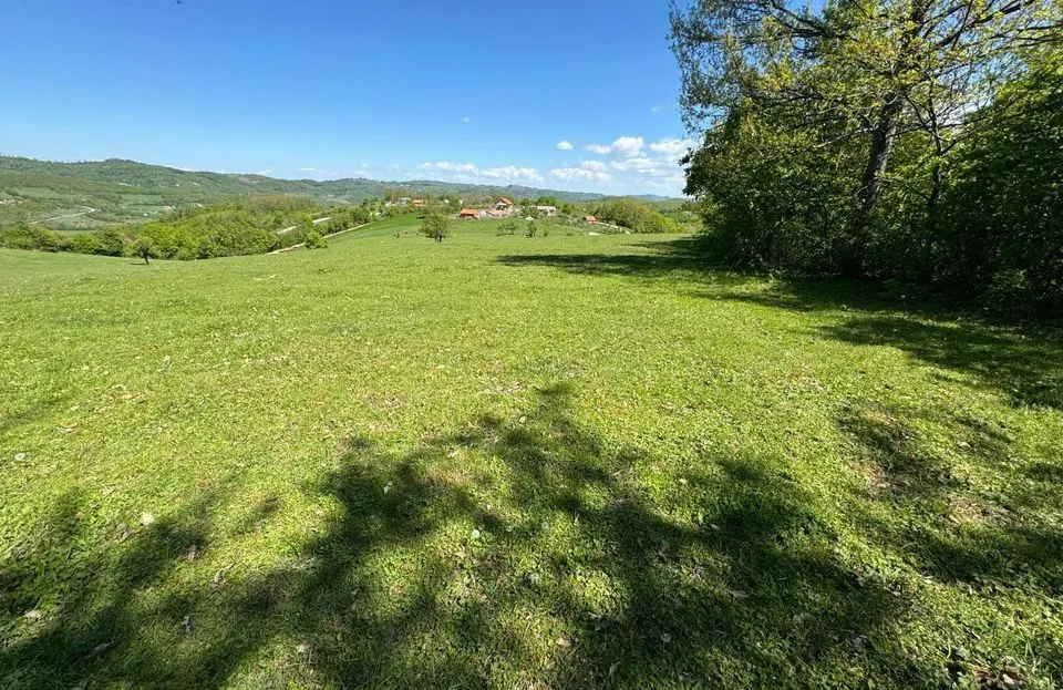 Viber image 2024 08 14 13 44 36