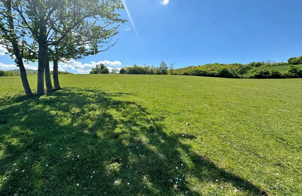 Viber image 2024 08 14 13 44 40