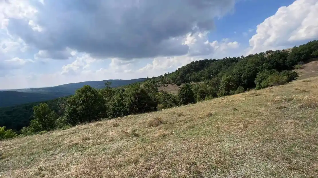 Viber image 2024 08 15 15 35 34