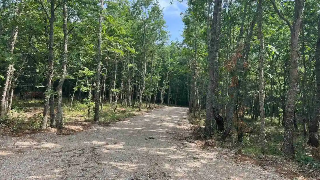 Viber image 2024 08 15 15 35 36