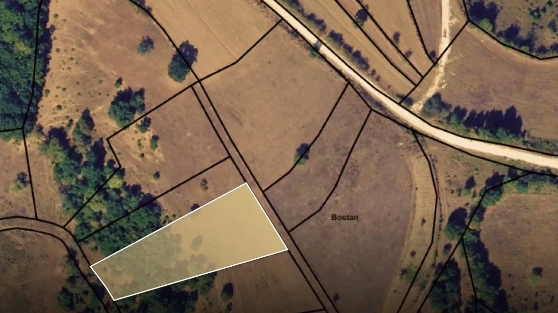 Viber image 2024 08 15 15 35 37