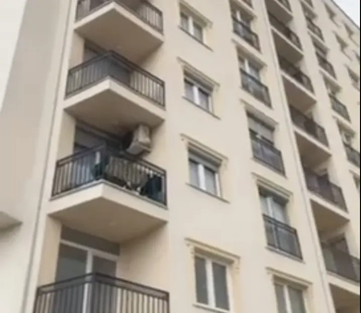 Viber image 2024 09 11 10 09 53