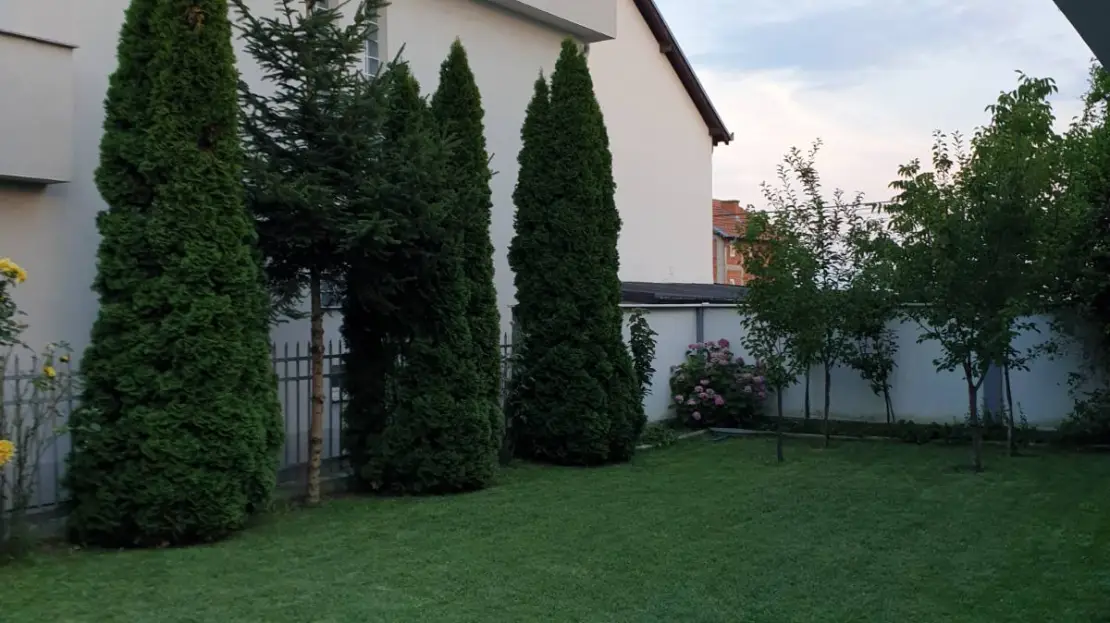 Viber image 2024 09 14 15 11 39