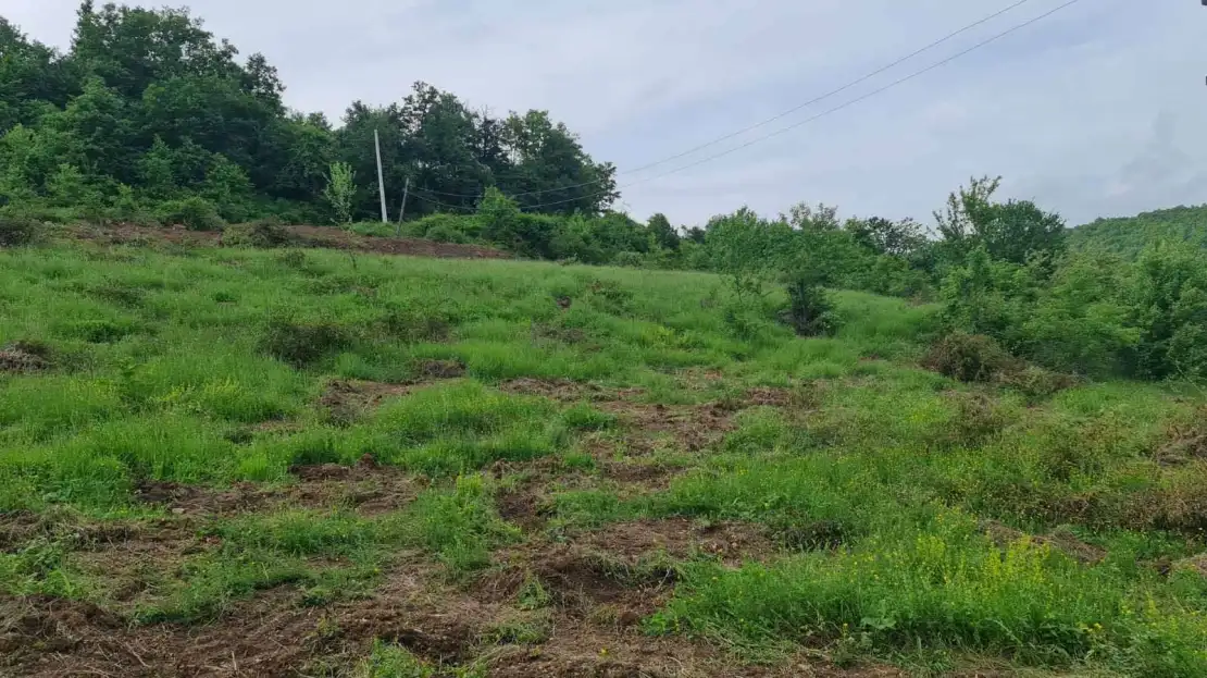 Viber image 2024 09 25 14 56 49