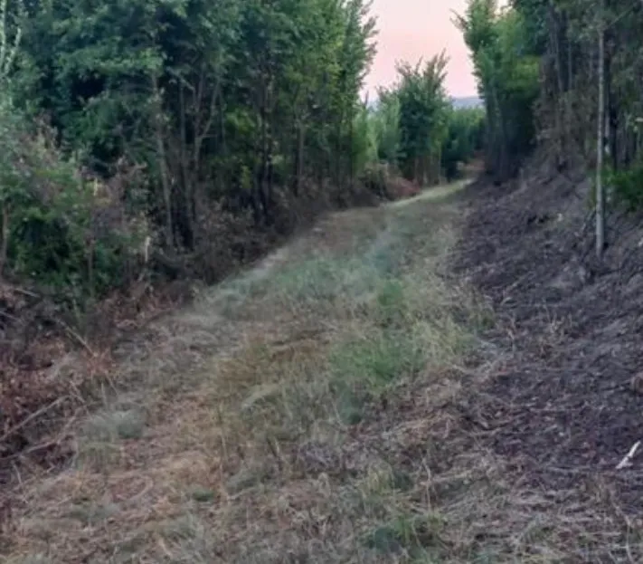 Viber image 2024 09 26 11 07 11