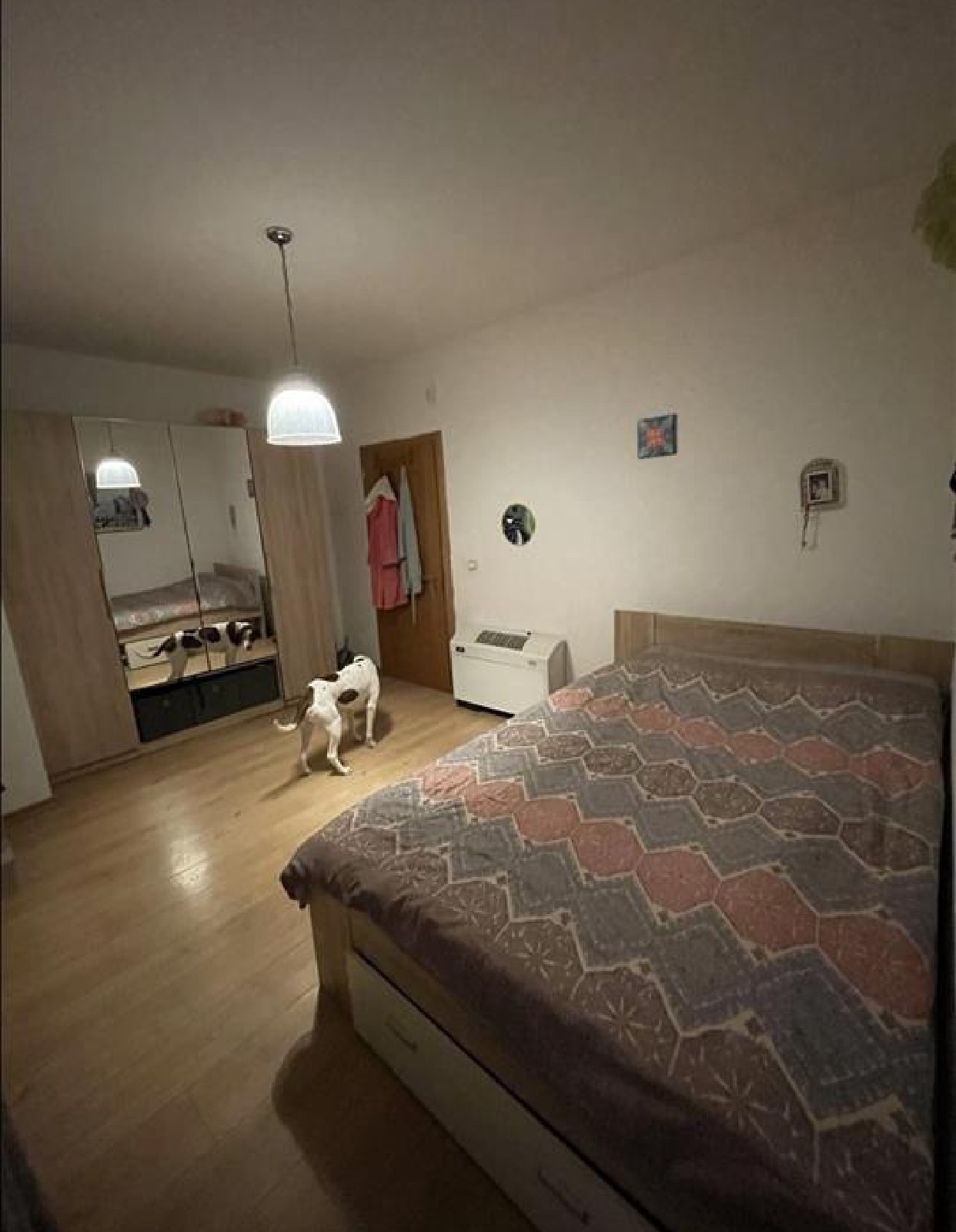 Viber image 2024 10 31 14 37 37