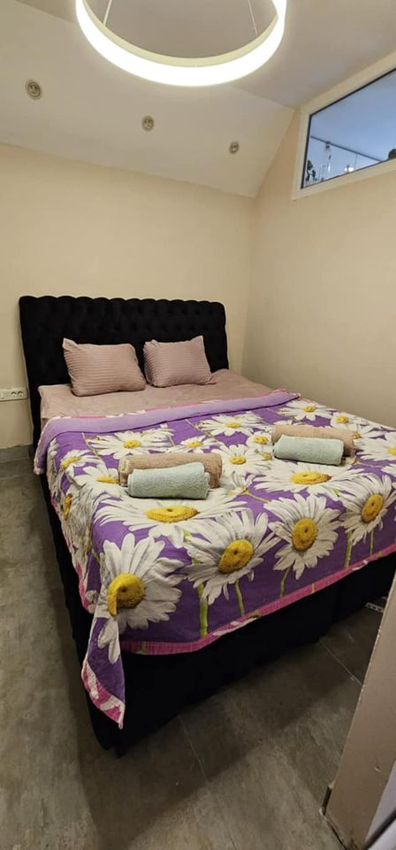 Viber image 2024 11 21 15 49 36