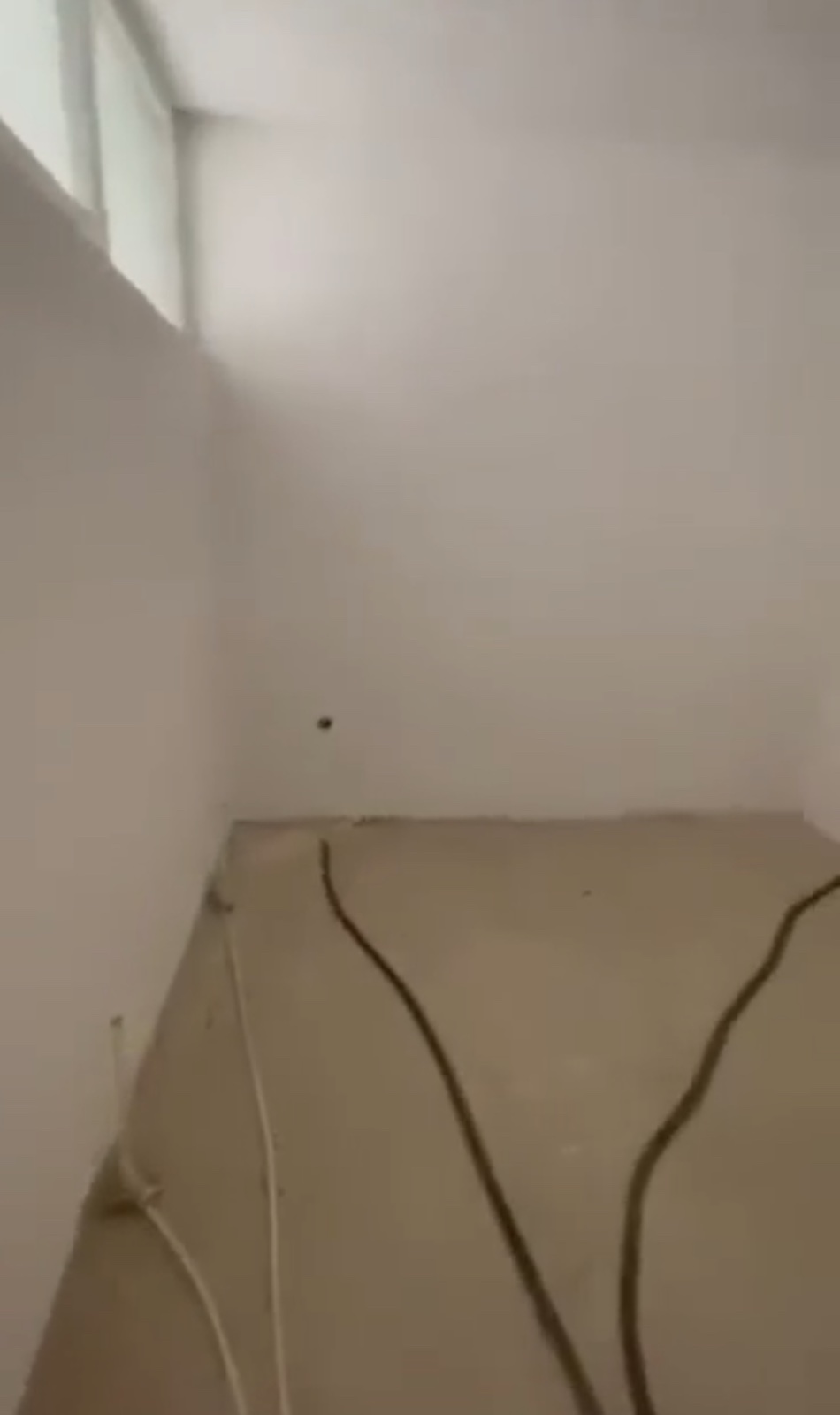 Viber Image 2024 12 06 14 07 02 638