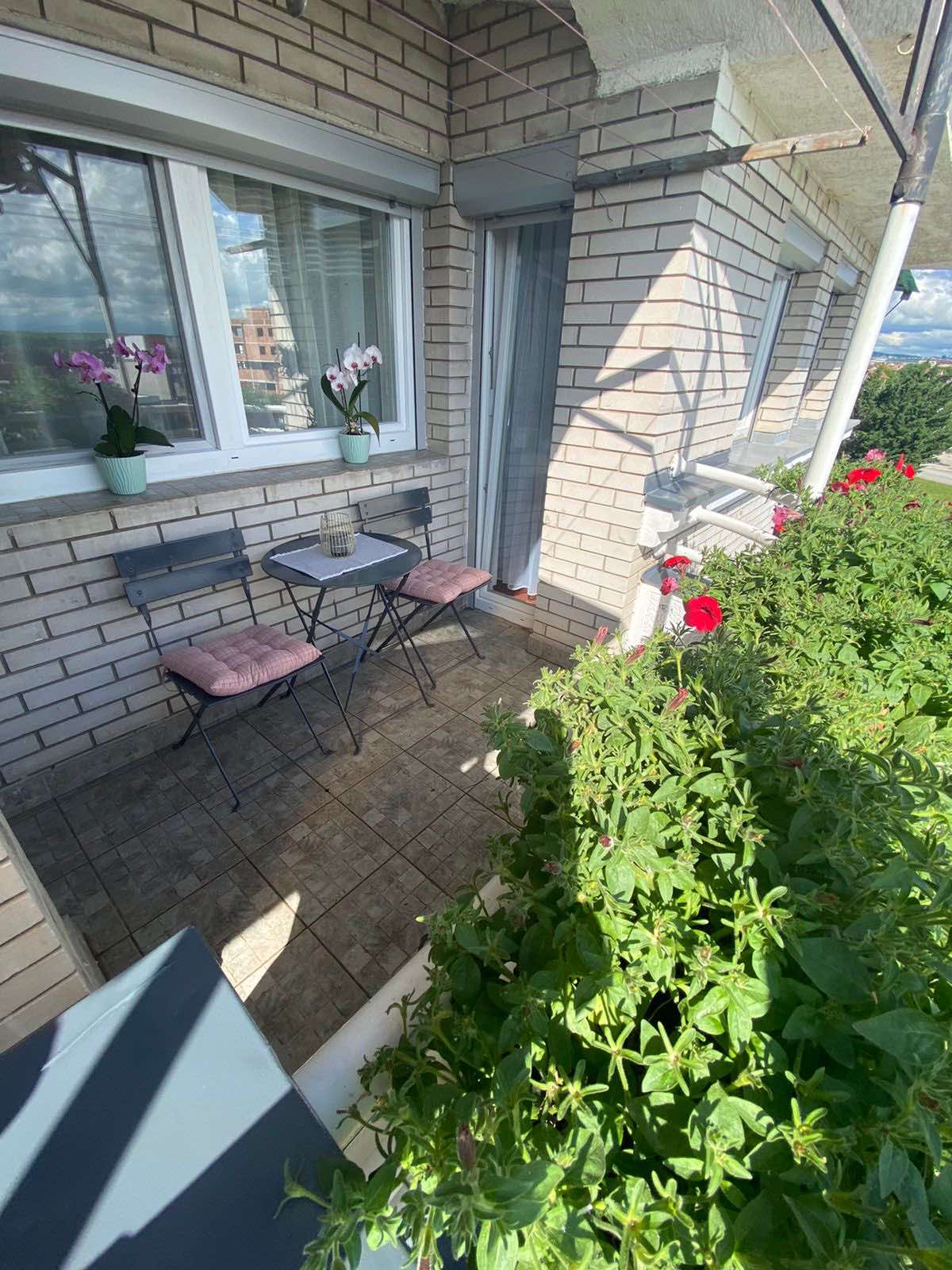 Viber Image 2024 12 18 09 52 34 898