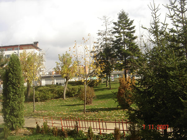 Viber Image 2024 12 23 15 50 30 140