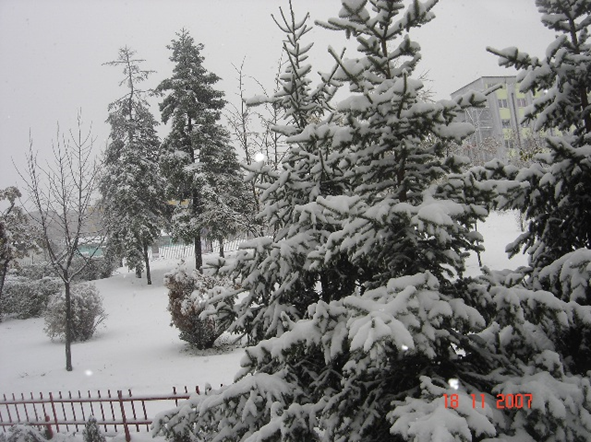 Viber Image 2024 12 23 15 50 32 851