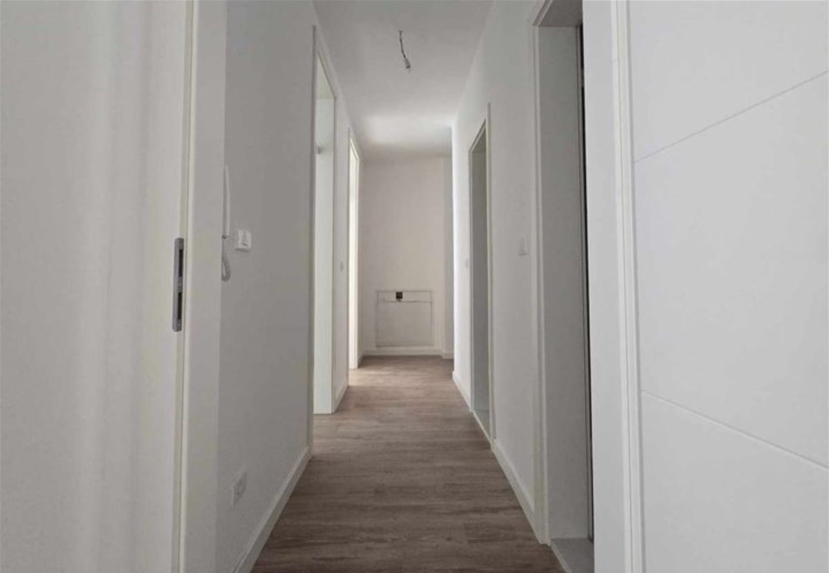 Viber Image 2024 12 24 15 51 12 449