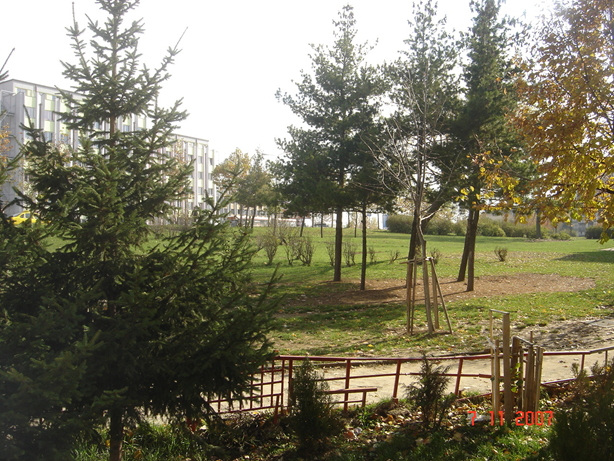 Viber Image 2024 12 23 15 50 31 321