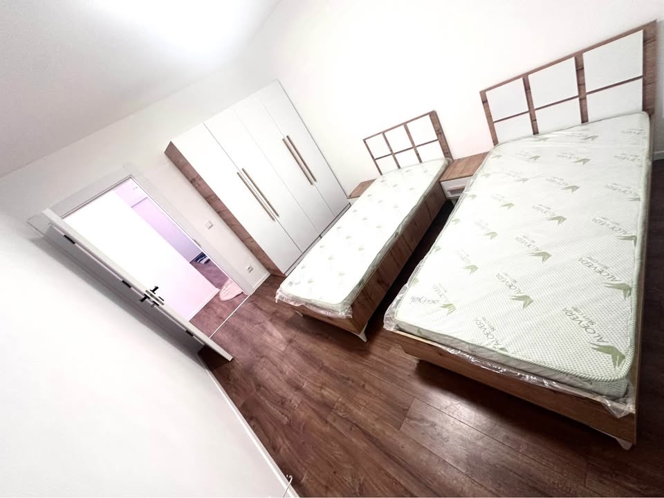 480665437 1825935288242418 8504657402454825374 N