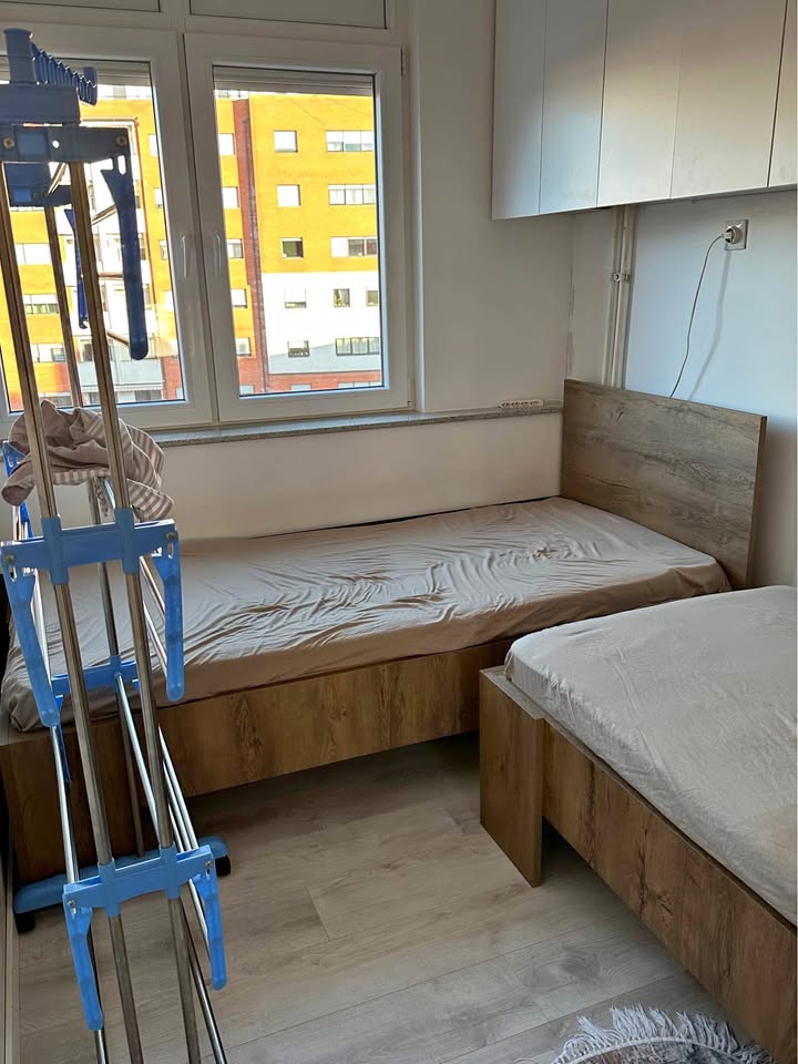 482081330 1725529948387391 7064224538345608541 N