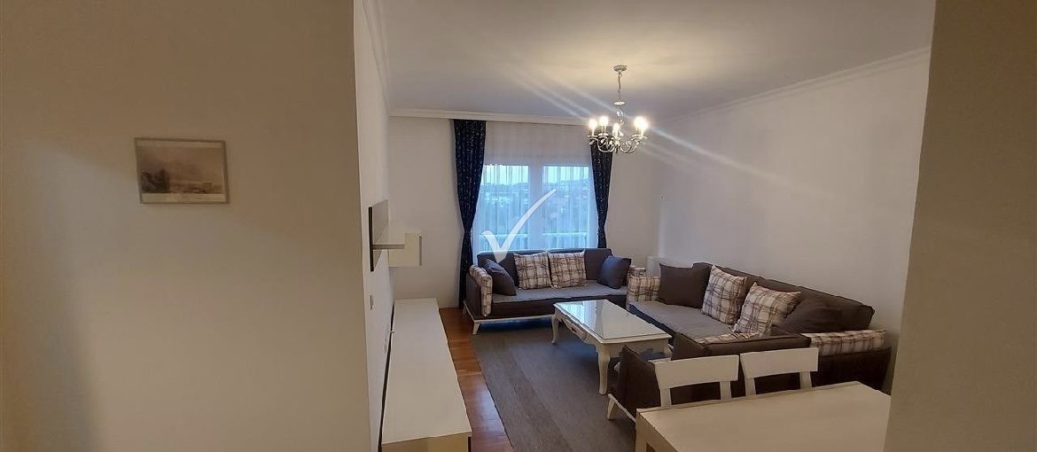 Viber Image 2024 08 31 11 04 52 994