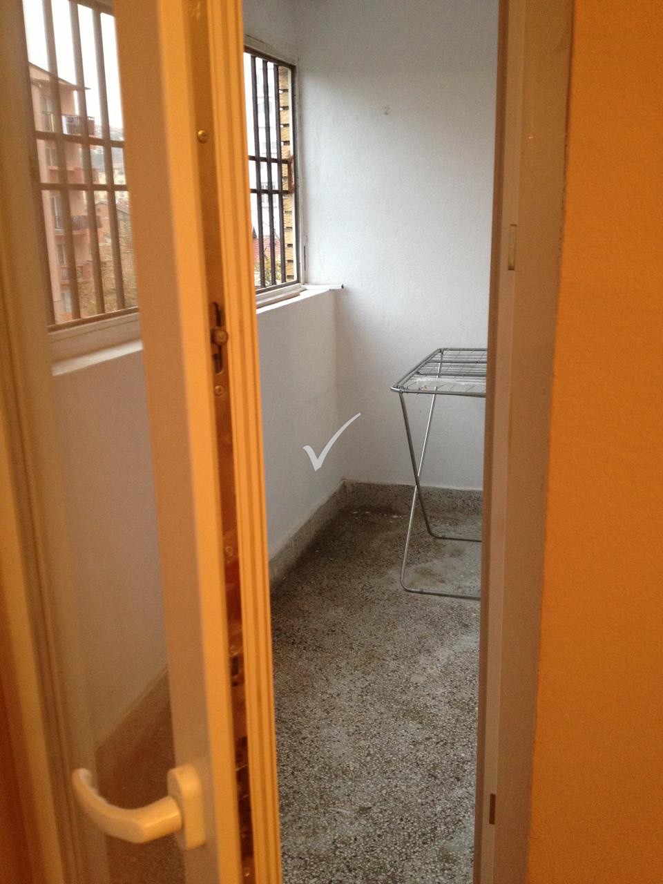 Viber Image 2024 10 31 13 31 29 566