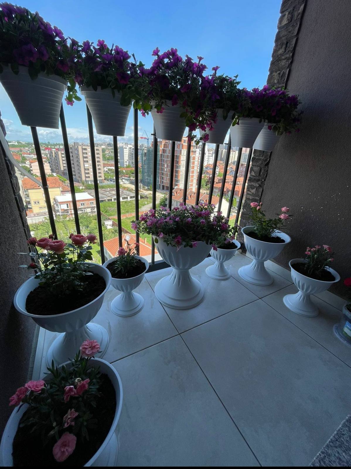 Viber Image 2025 02 11 10 27 40 944