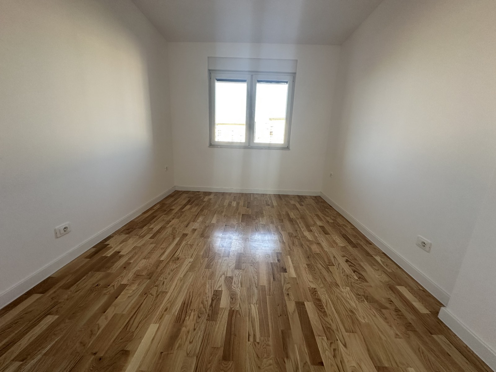 Viber Image 2025 02 19 16 45 59 252