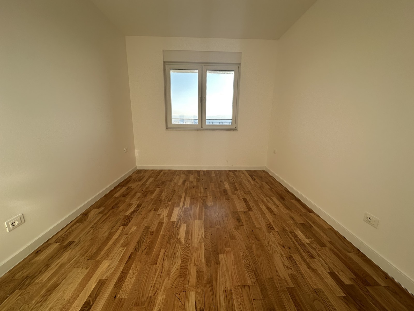 Viber Image 2025 02 19 16 56 48 146