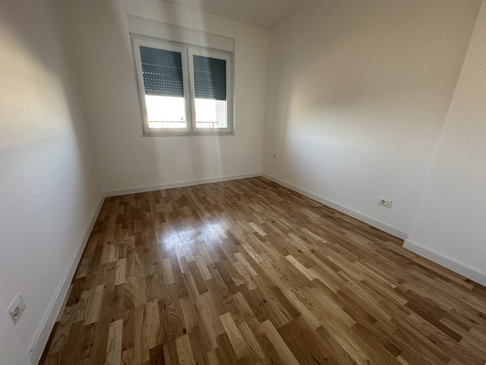 Viber Image 2025 02 19 16 56 50 732