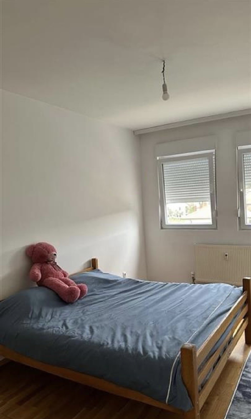 Viber Image 2025 02 20 10 28 35 870