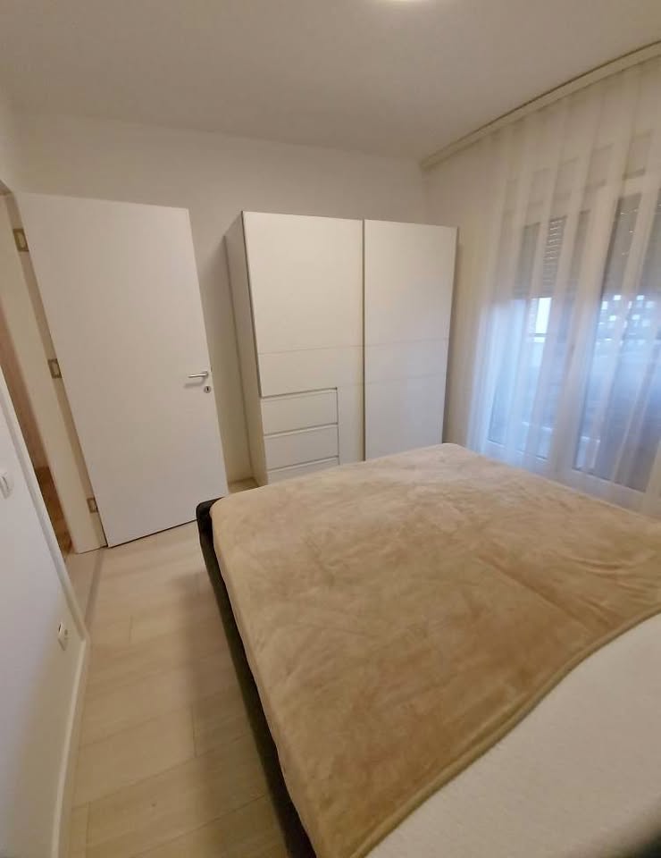 481455139 638572772132669 7133584598980286430 N