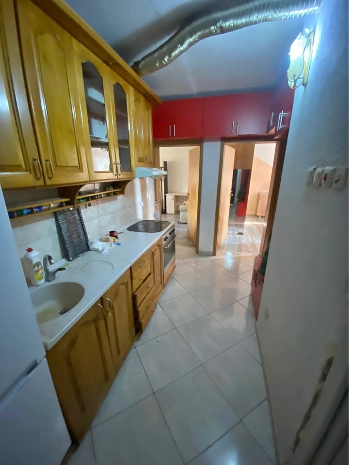 482725189 1355820505434572 9168579463829977432 N