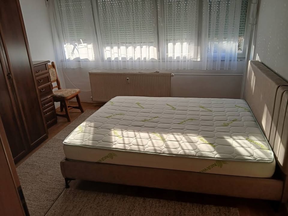 485677129 655557994167046 7891154795247199532 n