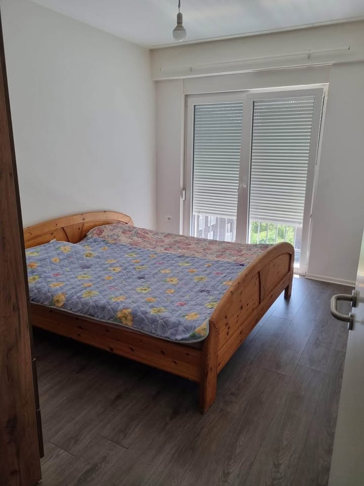 505409346 1071621958205061 5413974667107583968 n