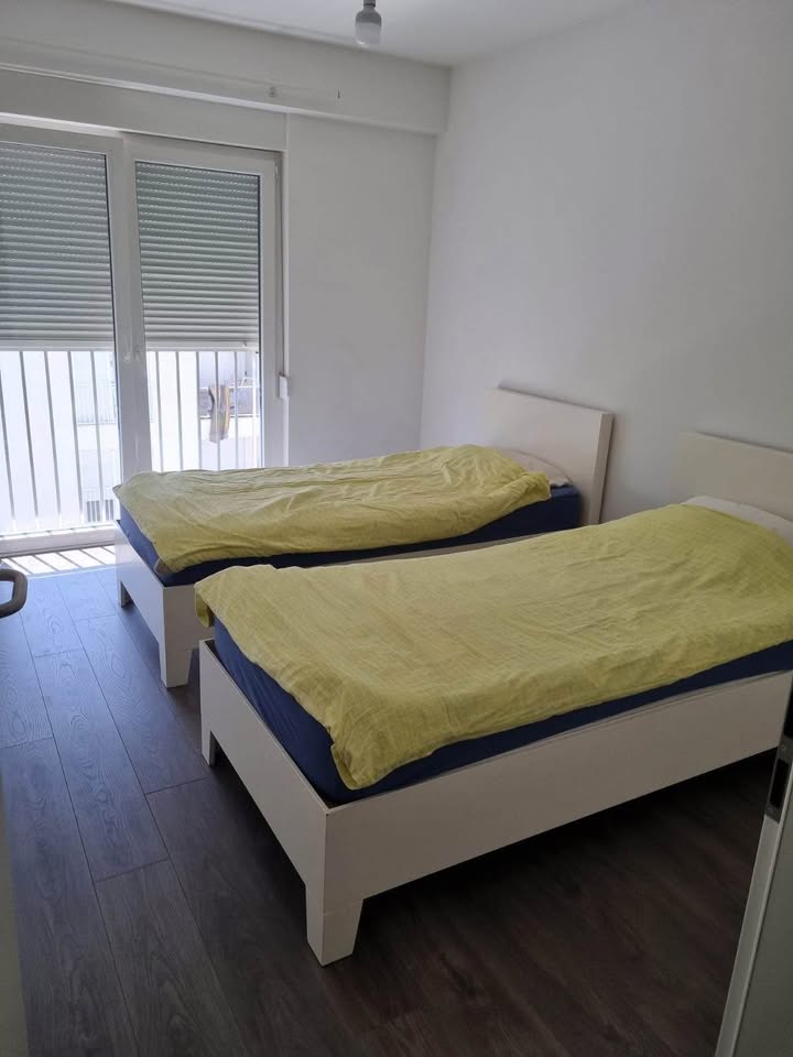 506205246 1466331181035678 6565438433672455538 n