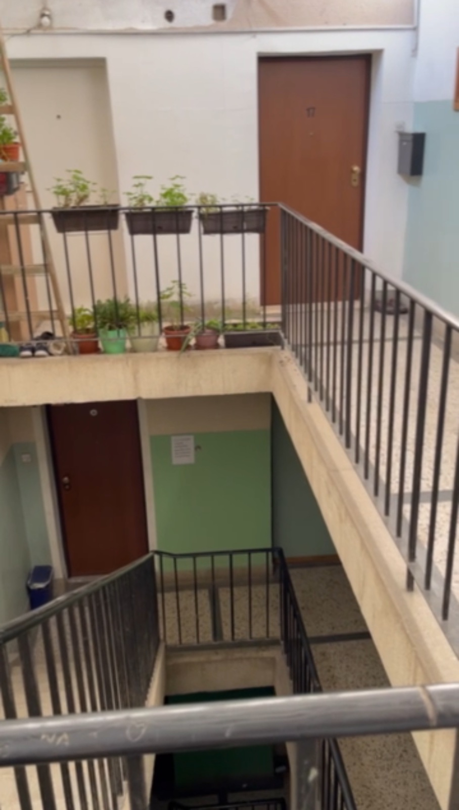 Viber Image 2025 03 10 09 59 13 799